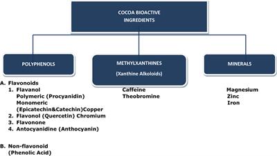 Dark Chocolate: Opportunity for an Alliance between Medical Science and the Food Industry?